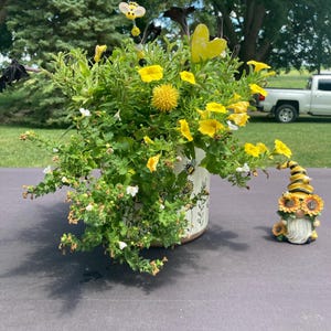 Lori added a photo of their purchase