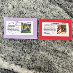 NEW! Firecracker Penstemon Seeds, Eaton's Penstemon, US Native Wildflower, PT411C