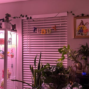 Emily added a photo of their purchase