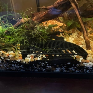 Morgan added a photo of their purchase