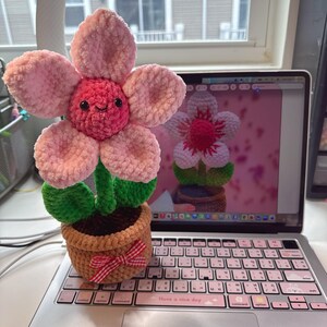 Paorumpar さんが購入した商品の写真を追加しました