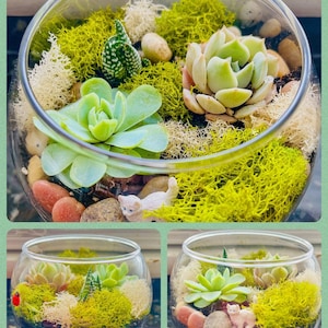 Ashleigh added a photo of their purchase