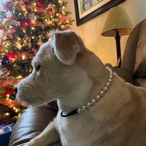 Annmarie added a photo of their purchase