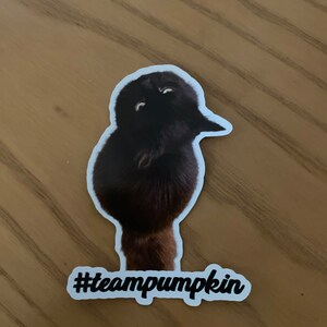 Comprador de Etsy ha añadido una foto de su compra