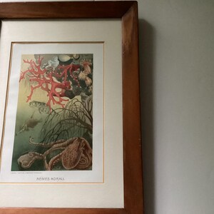 Gail added a photo of their purchase