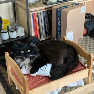 Chihiro added a photo of their purchase
