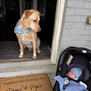 Sierra added a photo of their purchase