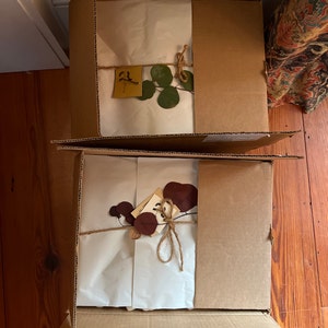 Penny ha añadido una foto de su compra