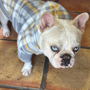 Nemo added a photo of their purchase
