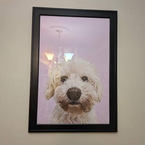 Hailey added a photo of their purchase
