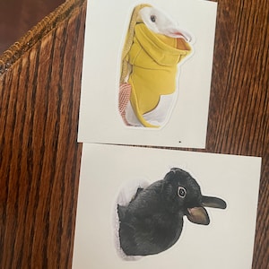 Simone added a photo of their purchase