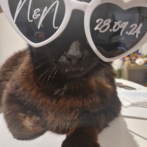 natasha adicionaram uma foto da sua compra