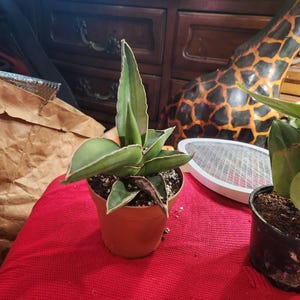 Barbara added a photo of their purchase