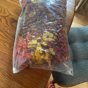 Theresa added a photo of their purchase