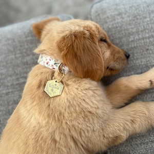 Katie added a photo of their purchase