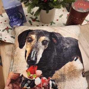 John&Lori added a photo of their purchase