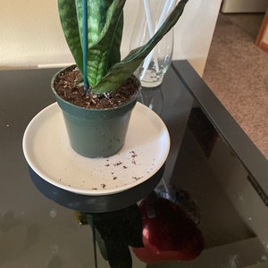 Jordan added a photo of their purchase