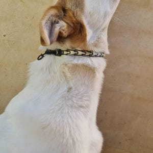 Addison heeft een foto van de aankoop toegevoegd