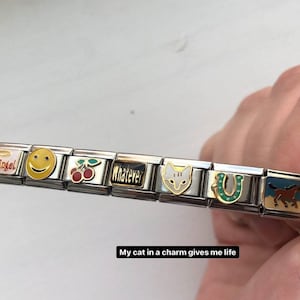 Cats Dogs Healthy Living Italian Bracelet Charm Animals 48 Designs Army Cats Dogs Healthy Living Italian Bracelet Charm Animals 48 Designs Army