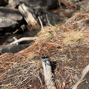 Delina adicionaram uma foto da sua compra