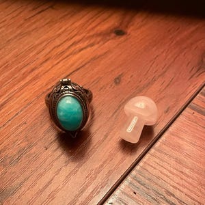 Hailey added a photo of their purchase