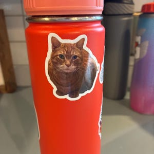 JoAnn added a photo of their purchase