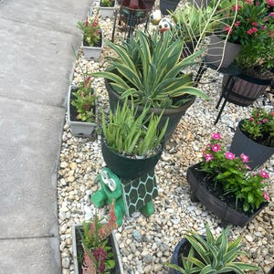 Patti added a photo of their purchase