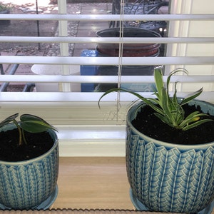 Mary mosescu added a photo of their purchase