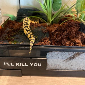Etsy buyer added a photo of their purchase