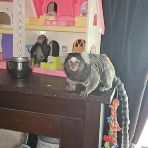 Vickie added a photo of their purchase