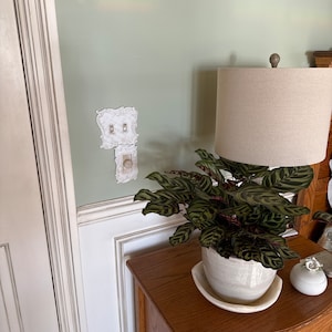Betty added a photo of their purchase