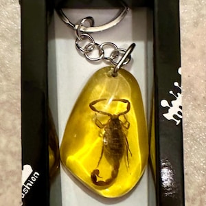Sabrina added a photo of their purchase