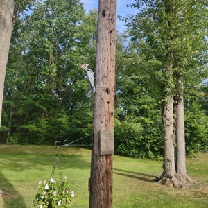 Aislemaster added a photo of their purchase