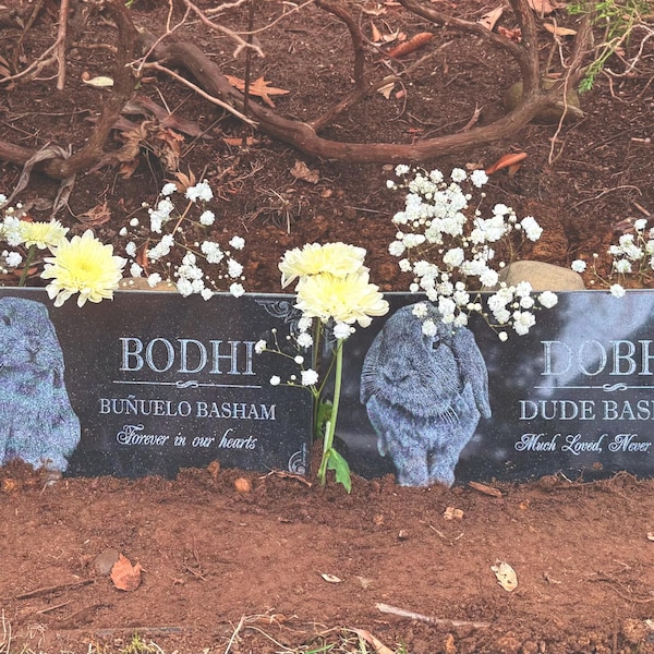 Peter Rabbit Headstone Rabbit Burial Stone | Pet Headstone Photo | Engraved Granite Outdoor ...