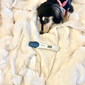 Haley added a photo of their purchase