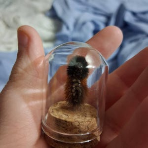 Alison ha añadido una foto de su compra