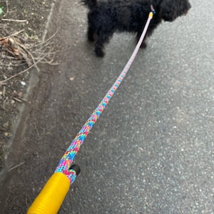 Meg added a photo of their purchase