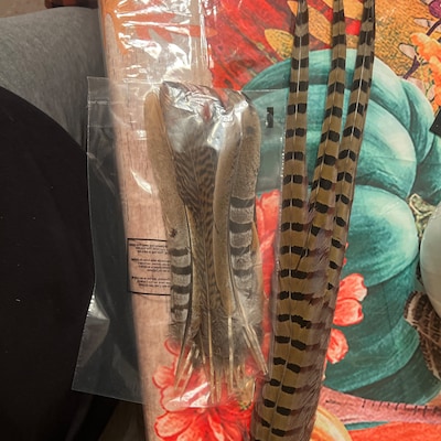 2 Large OSTRICH Feather Fans in WHITE 50 X 30 for Burlesque Fan Dance