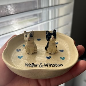 Alison added a photo of their purchase