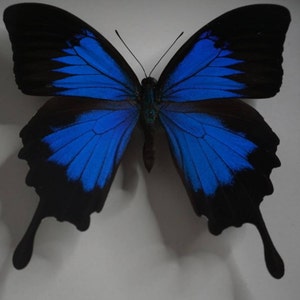 Anna-Maria ha añadido una foto de su compra