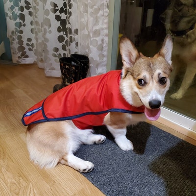 Corgi Rain Jacket - Etsy