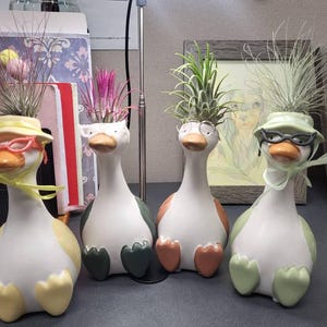Stephanie added a photo of their purchase