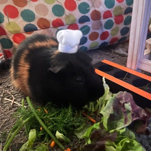Zaxam added a photo of their purchase