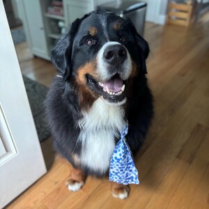 Brittany ha añadido una foto de su compra