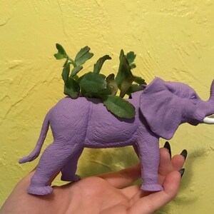 Conta inativa adicionaram uma foto da sua compra