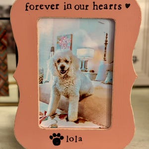 M added a photo of their purchase