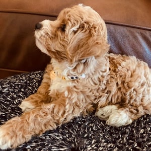 Katherine ha añadido una foto de su compra