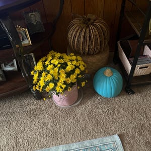Marlene added a photo of their purchase