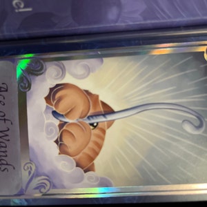 Martha added a photo of their purchase