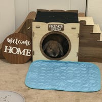 Modern Rabbit House, Indoor Rabbit Castle, Rabbit Furniture, Extra ...